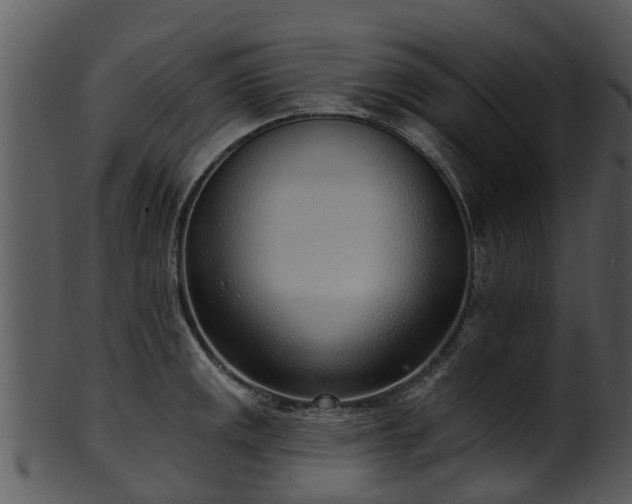 X0000101421141200807141148