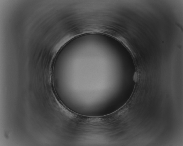 X0000101421143200807141148