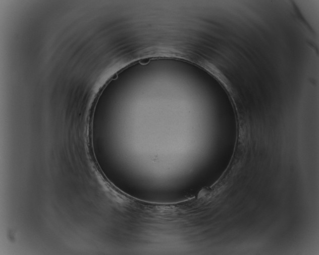 X0000101421144200807141148