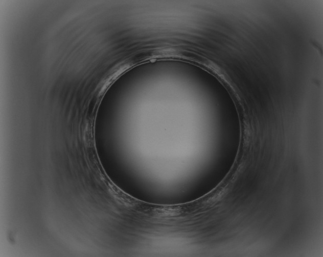 X0000101421145200807141148