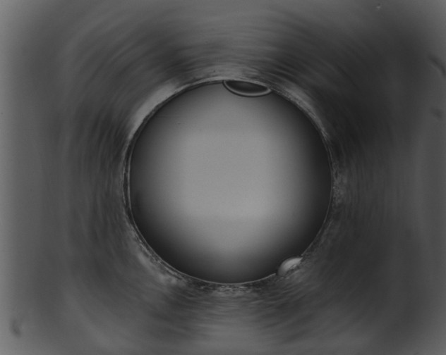 X0000101421146200807141148