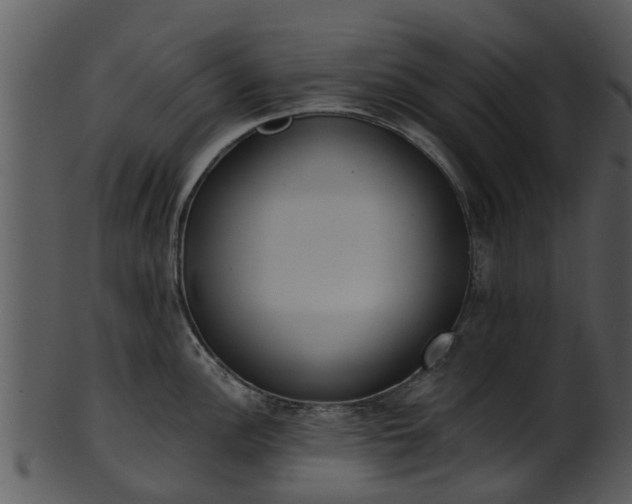 X0000101421148200807141148