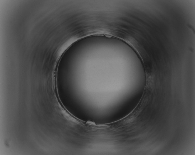 X0000101421151200807141148