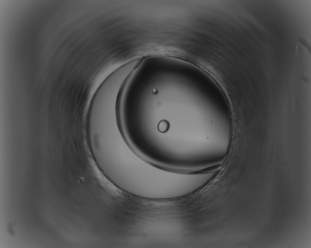 X0000101421152200807141148