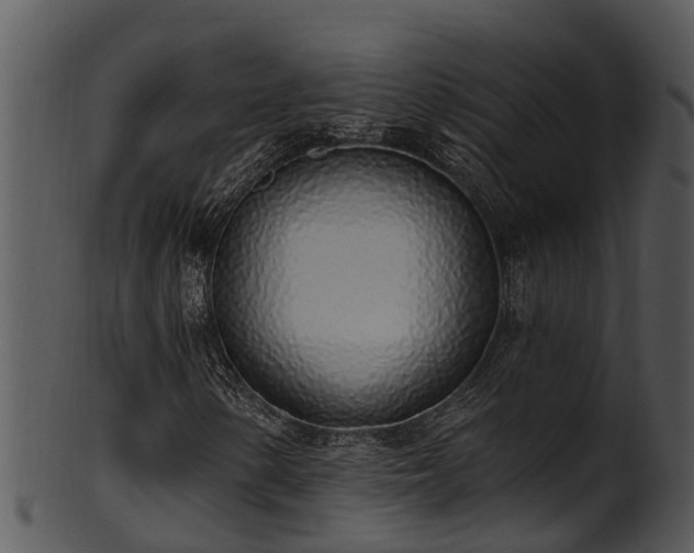 X0000101421154200807141147