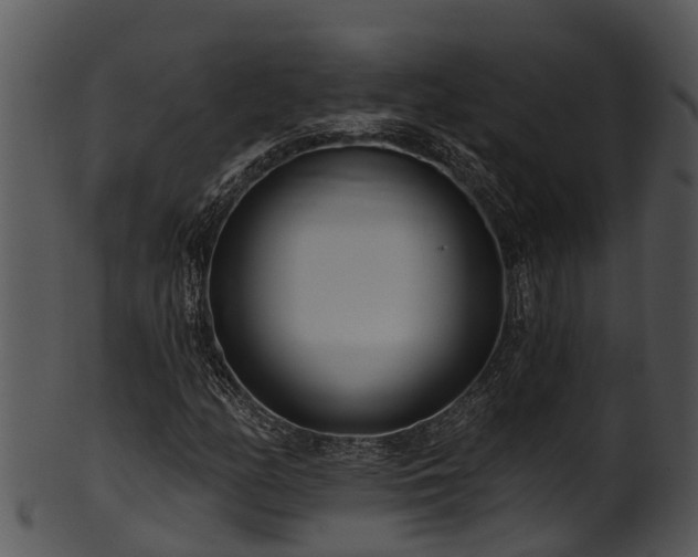 X0000101421158200807141147