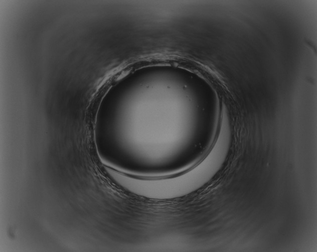 X0000101421160200807141147