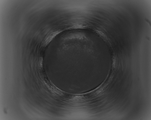 X0000101421161200807141147