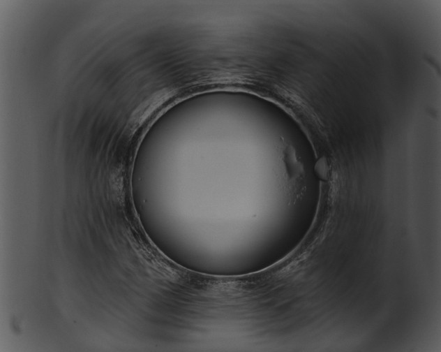 X0000101421162200807141147