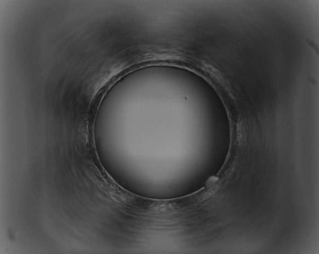X0000101421165200807141147