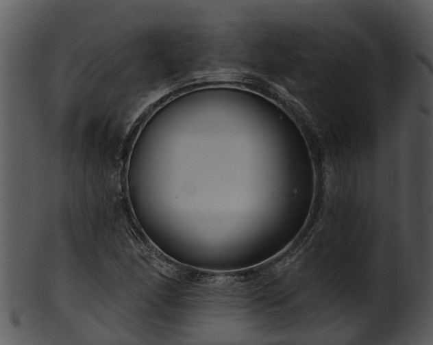 X0000101421166200807141147