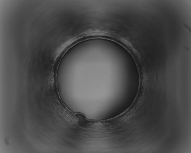 X0000101421167200807141147