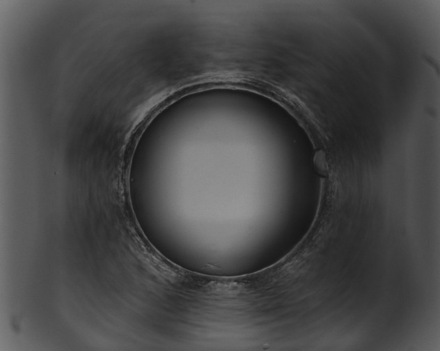 X0000101421168200807141147