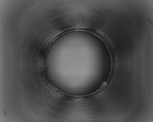 X0000101421169200807141147