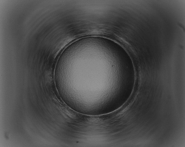 X0000101421170200807141147