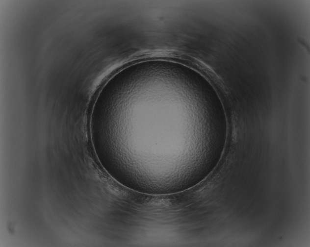 X0000101421174200807141147