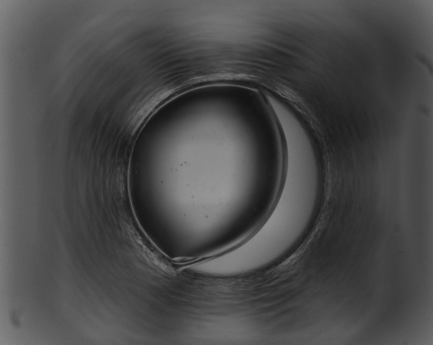X0000101421177200807141147