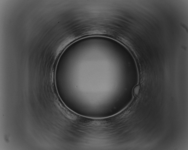 X0000101421179200807141147