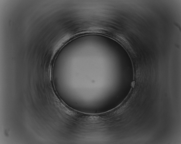 X0000101421180200807141147