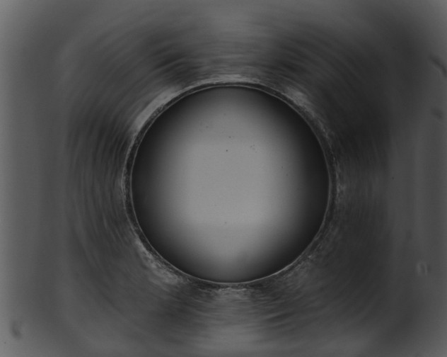 X0000101421181200807141147