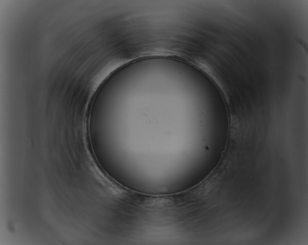 X0000101421187200807141147