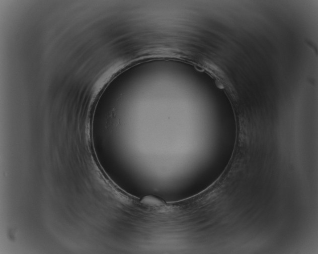 X0000101421188200807141147