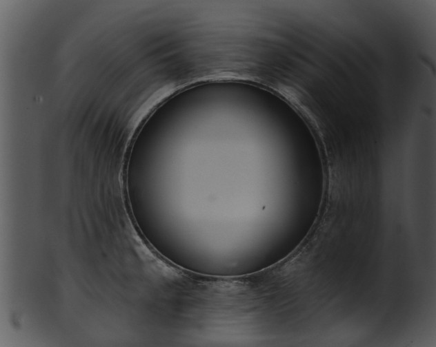 X0000101421189200807141147