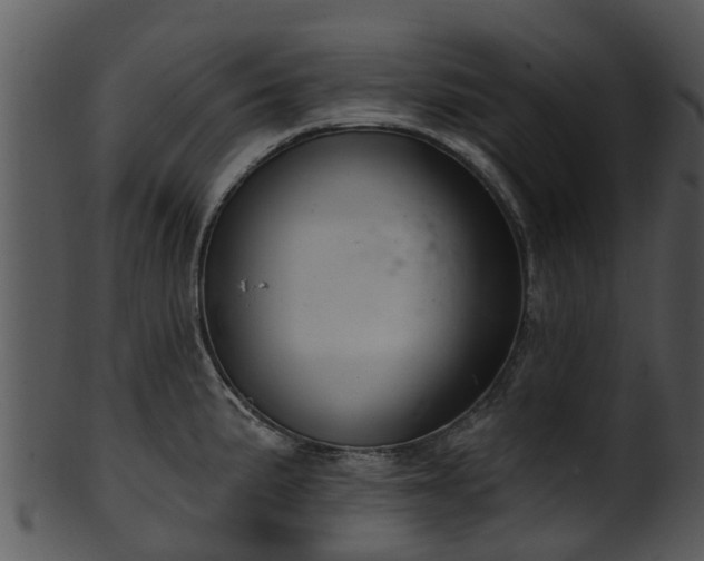 X0000101421191200807141147