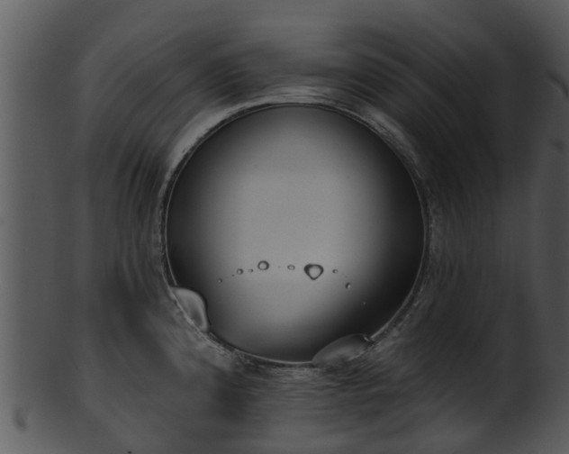 X0000101421192200807141147
