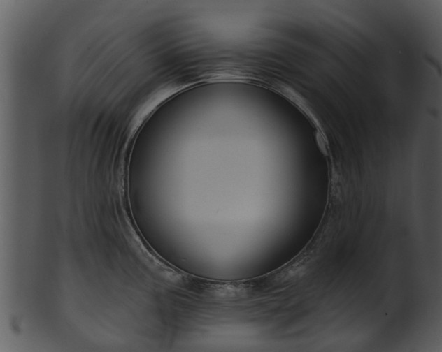 X0000101421195200807141147