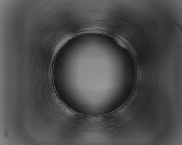 X0000101421196200807141147