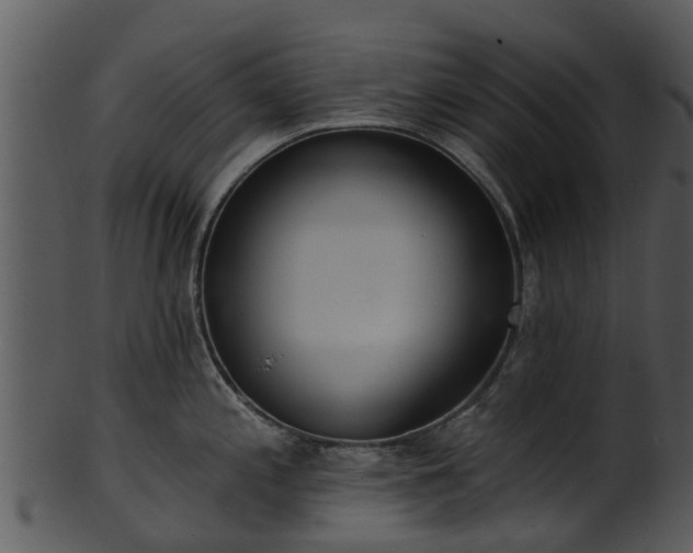 X0000101421197200807141147