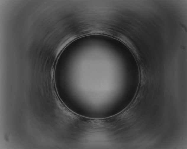 X0000101421198200807141147