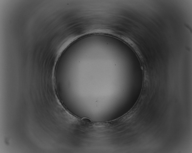 X0000101421199200807141147