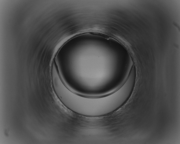 X0000101421200200807141147