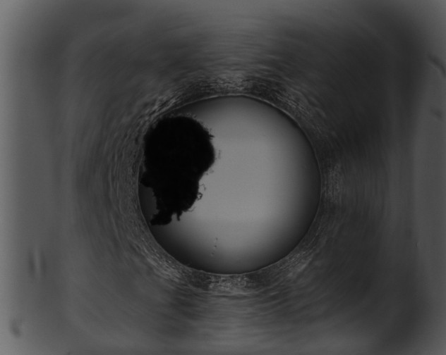 X0000101421201200807141146