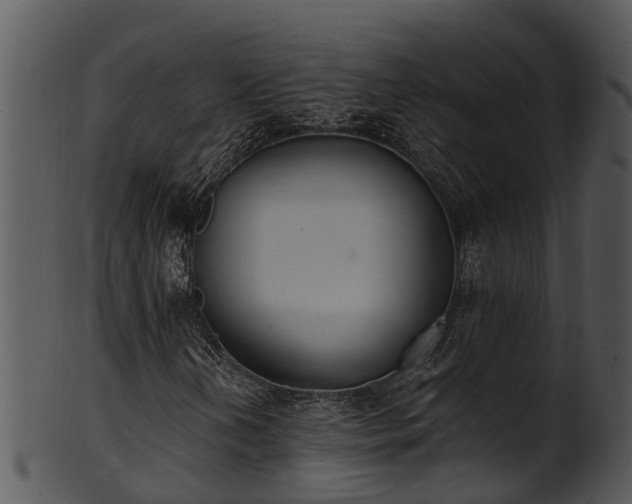 X0000101421202200807141146
