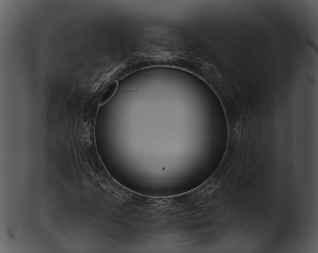 X0000101421205200807141146