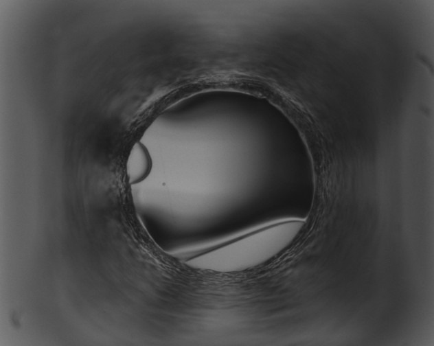 X0000101421206200807141146