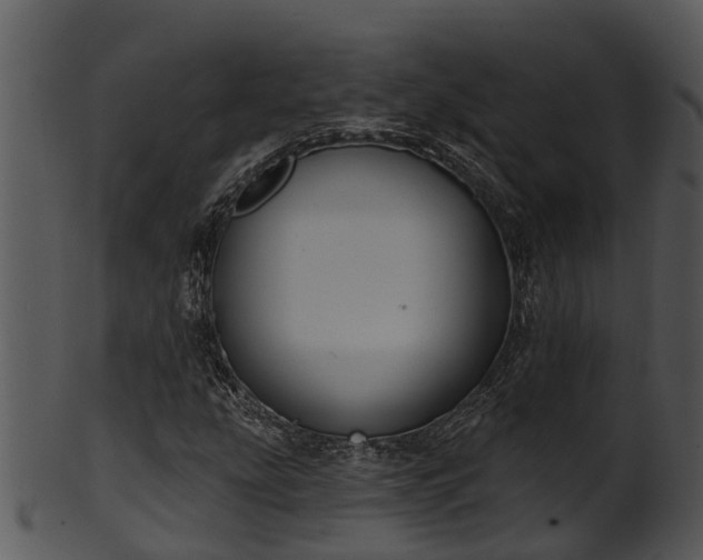 X0000101421207200807141146