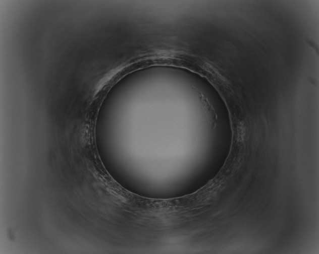 X0000101421208200807141146