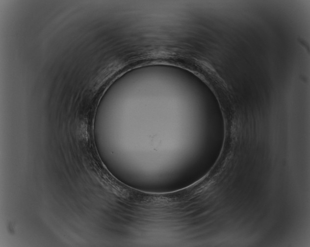 X0000101421209200807141146