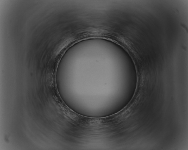 X0000101421211200807141146