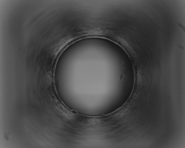 X0000101421212200807141146