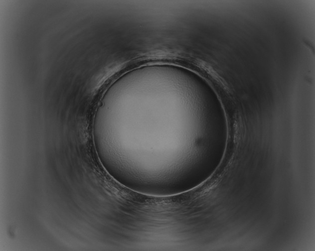 X0000101421213200807141146