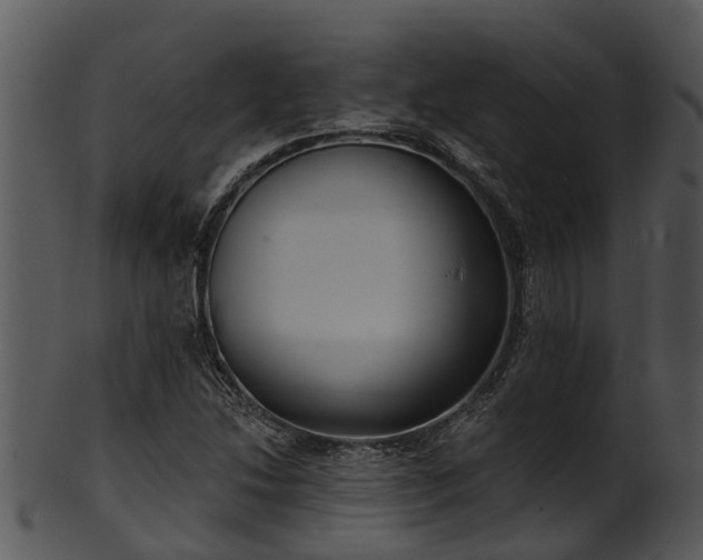 X0000101421214200807141146