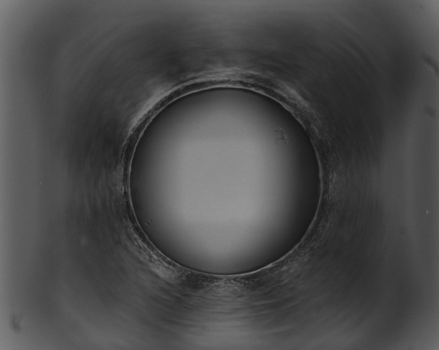 X0000101421216200807141146