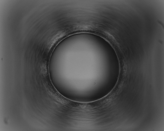 X0000101421218200807141146
