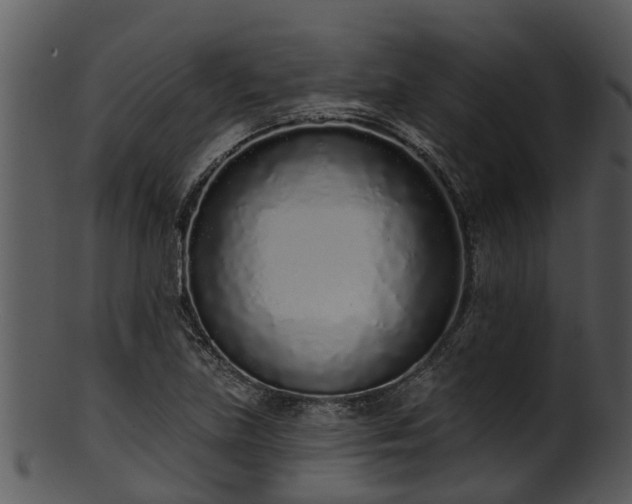 X0000101421219200807141146