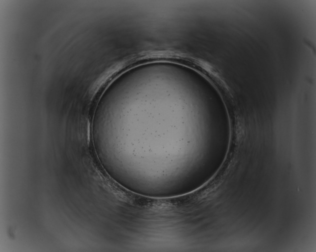 X0000101421221200807141146